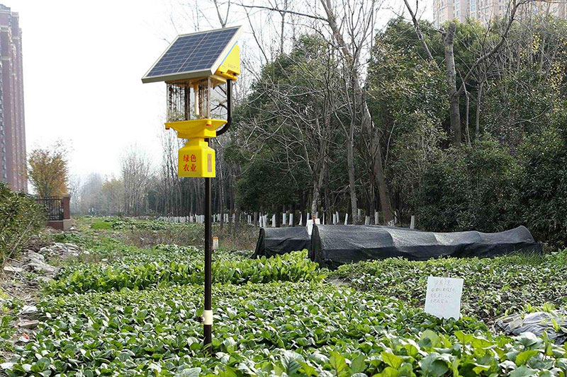菜地殺蟲燈應該怎么用效果好
