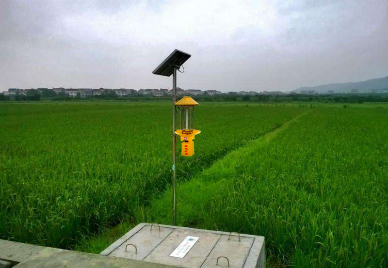 太陽能殺蟲燈也有缺點，你得知道