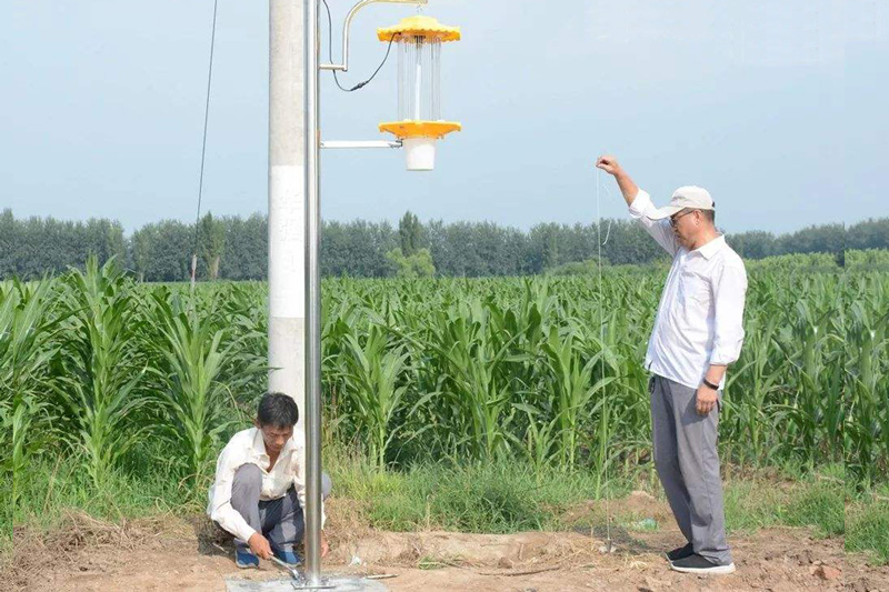 太陽能夜蛾殺蟲燈專治各種農(nóng)業(yè)蛾類害蟲