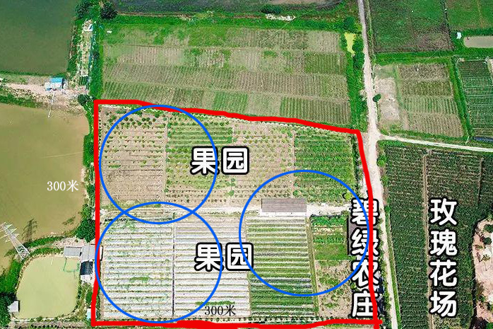 一盞殺蟲燈可以管多少面積？真有那么大嗎？