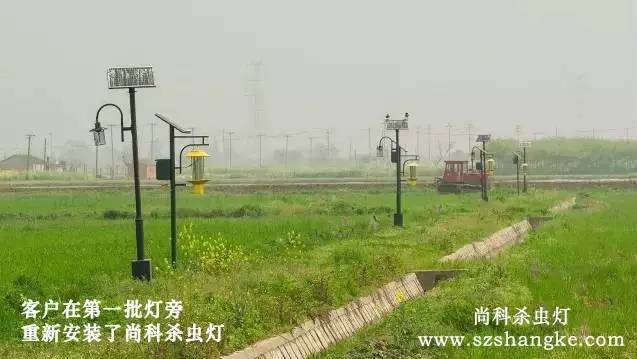 太陽能殺蟲燈哪家好？客戶用尚科殺蟲燈圖