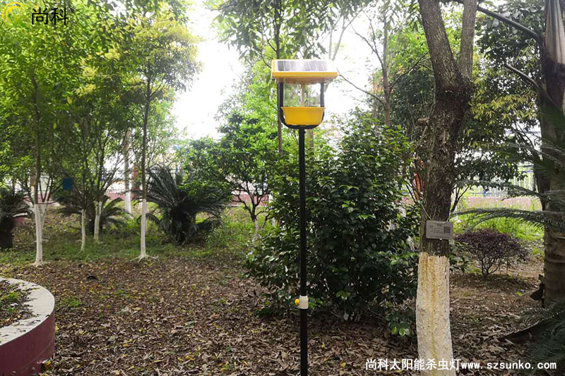 廣西南寧殺蟲燈用于某園林式機關大院效果圖片
