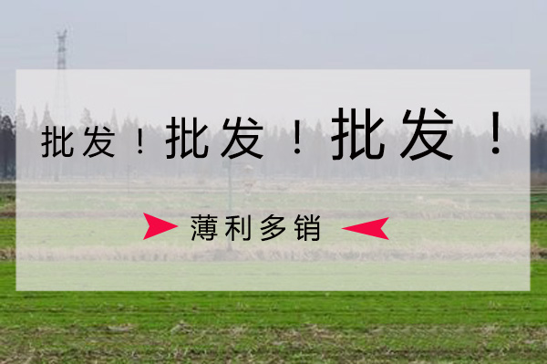 太陽能殺蟲燈批發(fā)價(jià)格要比零售價(jià)格低