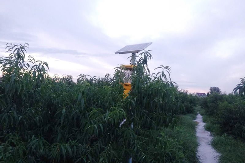 黑光燈多少錢？確定好黑光燈種類，不要買錯了