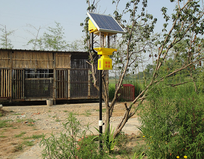 庭院太陽能殺蟲燈：高效、安全的驅蟲神器