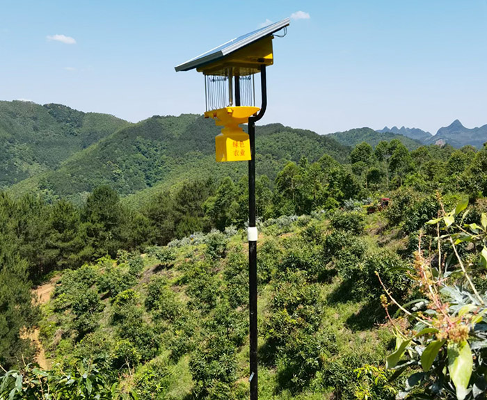 風(fēng)吸式太陽能殺蟲燈工作原理，總共5個步驟